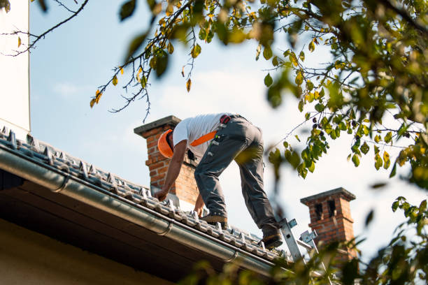 Best Local Roofing Companies  in Cleveland Heights, OH